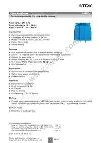 B82725J2602N040 Datasheet Page 2