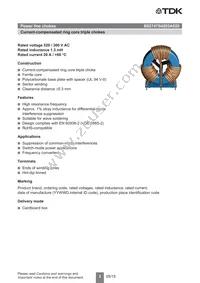 B82747S4203A020 Datasheet Page 2