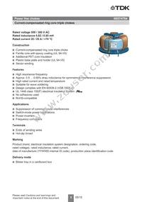 B82747S4303A041 Datasheet Page 2