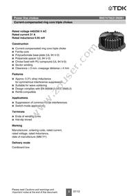 B82747S6313N061 Datasheet Page 2