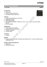 B82805A0952A250 Datasheet Page 2