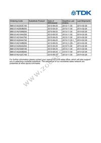 B85121A2253C160 Datasheet Page 2