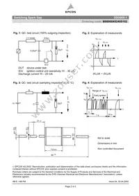 B88069X0240S102 Datasheet Page 2