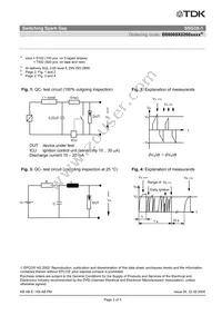 B88069X0260S102 Datasheet Page 4