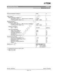 B88069X0270S102 Datasheet Page 3