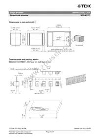 B88069X1023T203 Datasheet Page 4