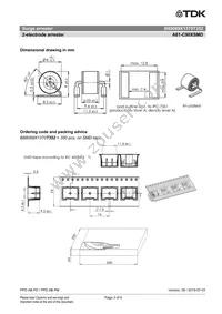 B88069X1370T352 Datasheet Page 3