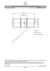 B88069X1420C102 Datasheet Page 2