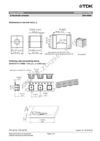 B88069X1913T902 Datasheet Page 4