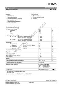 B88069X2090S102 Datasheet Page 2