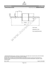 B88069X2160T502 Datasheet Page 2