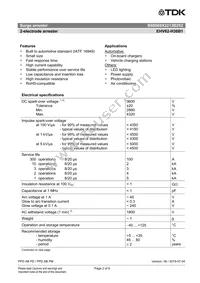 B88069X2213B252 Datasheet Page 2