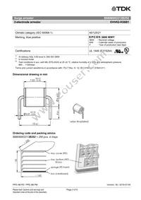 B88069X2213B252 Datasheet Page 3