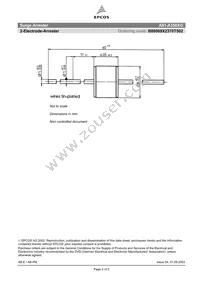 B88069X2370T502 Datasheet Page 2