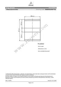 B88069X2450T702 Datasheet Page 2