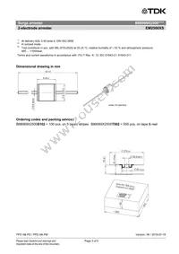 B88069X2500S102 Datasheet Page 3