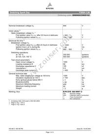 B88069X2580S102 Datasheet Cover