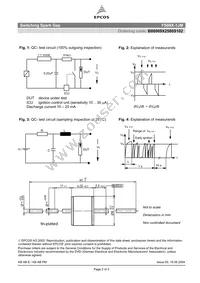 B88069X2580S102 Datasheet Page 2