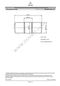 B88069X2860C102 Datasheet Page 2