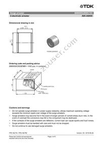 B88069X2900C103 Datasheet Page 3