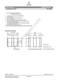 B88069X3020C253 Datasheet Page 3