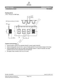 B88069X3020C253 Datasheet Page 4