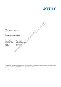 B88069X3030C253 Datasheet Cover