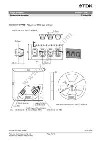 B88069X3040C253 Datasheet Page 4