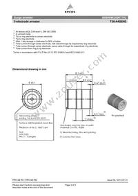 B88069X3050T702 Datasheet Page 3