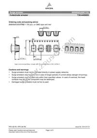 B88069X3050T702 Datasheet Page 4