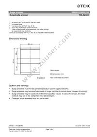 B88069X3060C253 Datasheet Page 3