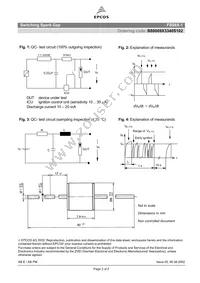 B88069X3340S102 Datasheet Page 2