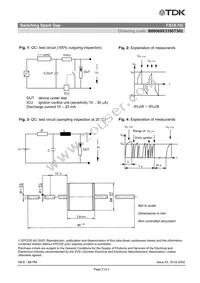 B88069X3350T502 Datasheet Page 4