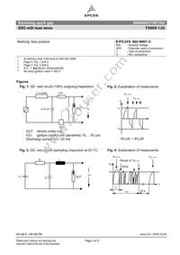 B88069X3790T502 Datasheet Page 3