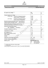 B88069X3800T502 Datasheet Cover