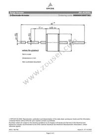 B88069X3800T502 Datasheet Page 2