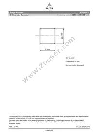 B88069X3810C103 Datasheet Page 2