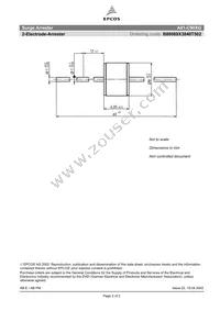 B88069X3840T502 Datasheet Page 2