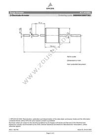 B88069X3880T502 Datasheet Page 2