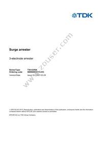 B88069X3951C253 Datasheet Cover