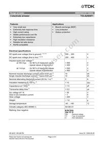 B88069X3971B502 Datasheet Page 2