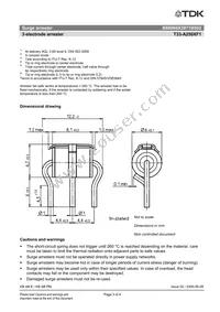 B88069X3971B502 Datasheet Page 3