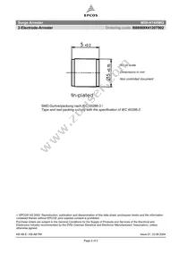 B88069X4120T902 Datasheet Page 2