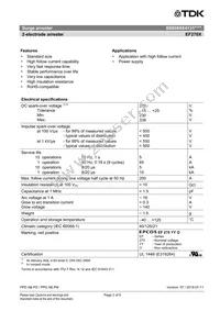 B88069X4131S102 Datasheet Page 2