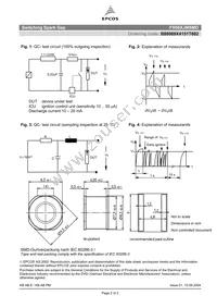 B88069X4151T602 Datasheet Page 2