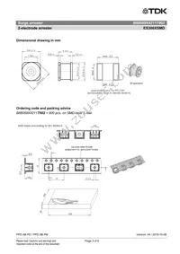 B88069X4211T902 Datasheet Page 3