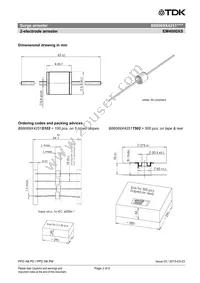 B88069X4251S102 Datasheet Page 3