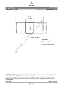 B88069X4360C102 Datasheet Page 2