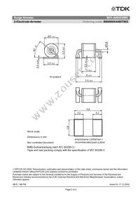 B88069X4480T902 Datasheet Page 2