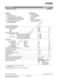 B88069X4651S102 Datasheet Page 2